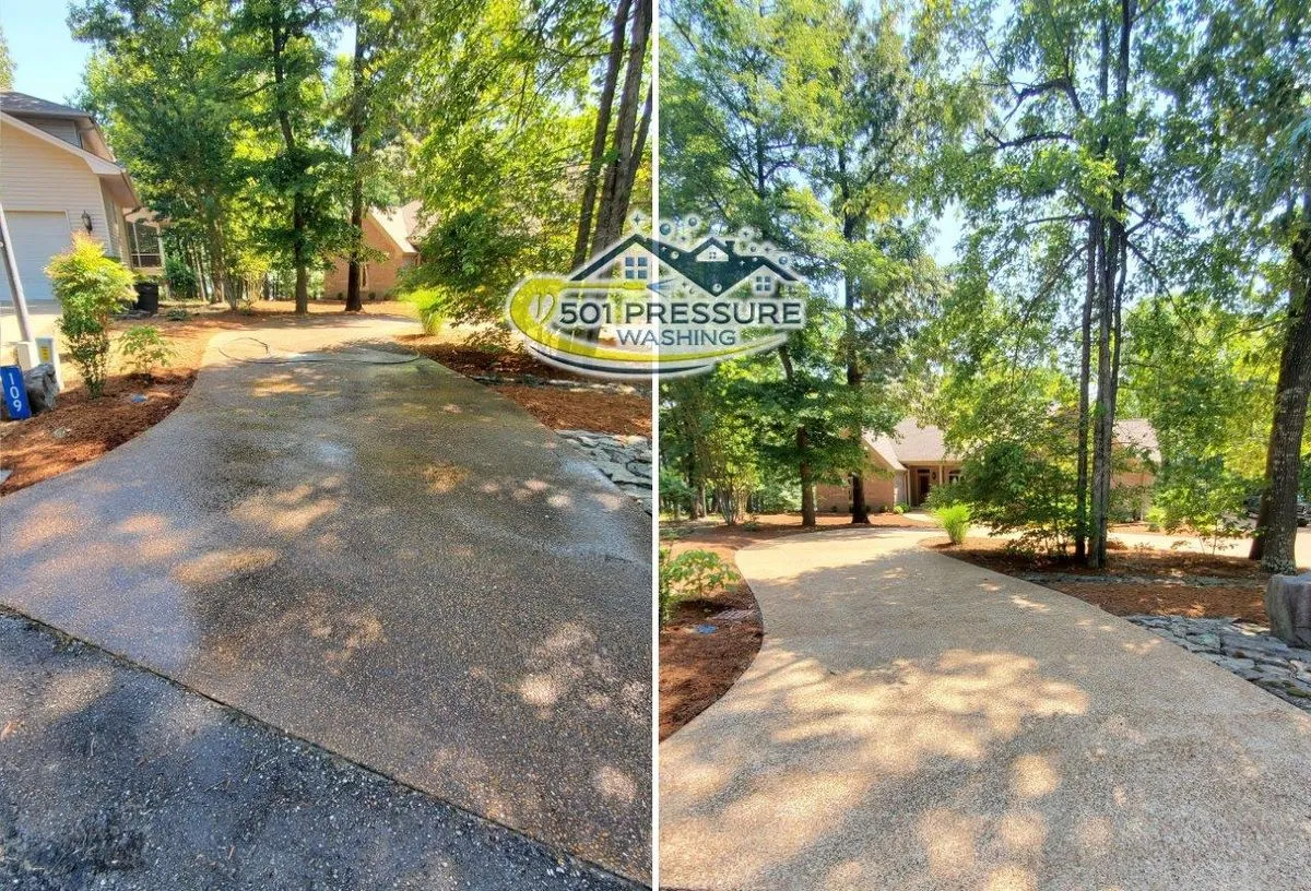 An exposed aggregate driveway curving between trees, dark and damp on the left and clean on the right