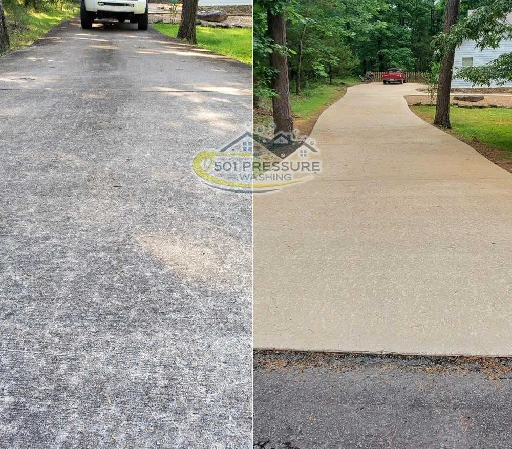 A long concrete driveway through trees, grey and grimy on the left and clean on the right